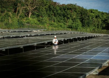 Neoenergia (NEOE3) vai prosseguir com OPA da Cosern após novo laudo de avaliação