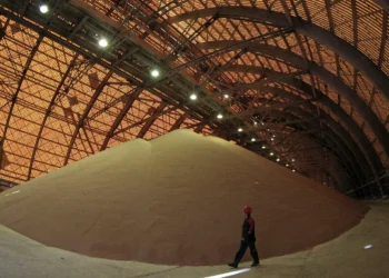 Nutrien paralisa 3 misturadoras de fertilizantes no Brasil por tempo indeterminado