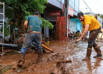 Tragédia no RS reforça necessidade de resiliência financeira, afirma diretora do BC