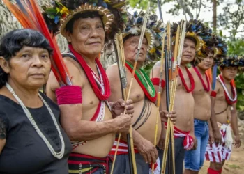 Finanças e blockchain: as soluções dos indígenas Paiter-Suruí para financiar projetos