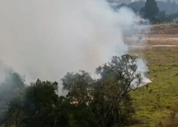 Treze cidades do estado de SP têm áreas de mata em chamas, diz Defesa Civil