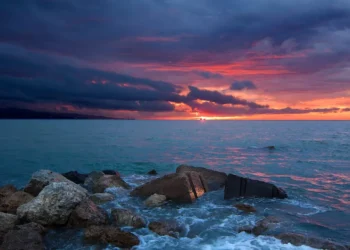 “O Futuro do Mercado Imobiliário na Costa del Sol: Entrevista com Olívia Traven”