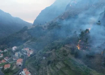 Governo da Madeira repudia palavras do PS sobre ocultação de informação