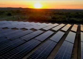 Fundo de energia limpa sobe 24% no pior ano dos FIIs desde 2020; ‘high yield’ cai 47%