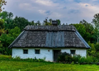 “Perspectivas Divergentes em Tempos de Crise”