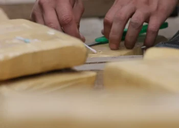 AT apreende 264 quilos de cocaína no Porto de Sines