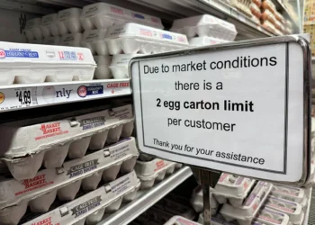 Exportações de ovos do Brasil disparam em meio à maior demanda dos EUA