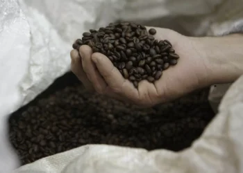 Volume da exportação brasileira de café cai 25% em março