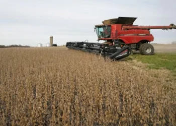 Como a China reduziu dependência agrícola dos EUA e melhorou arsenal comercial