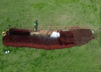 Governo brasileiro descarta três casos suspeitos de gripe aviária