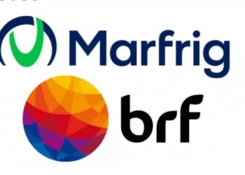 “MBRF”: Marfrig e BRF anunciam fusão de operações e projetam sinergias de R$ 805 mi