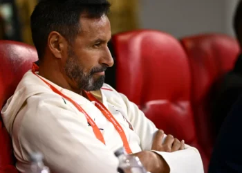 Bino Maçães dá receita de Portugal para final com a França: “Descanso”