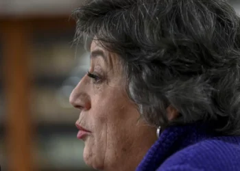 Ana Gomes defende apoio do PS a Seguro: “Federar Esquerda e democratas”