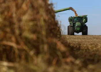 Frente da Agropecuária pede cautela e diplomacia firme diante das tarifas de Trump