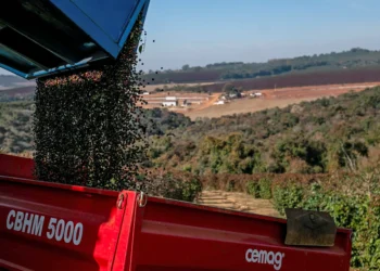 O que esperar do pacote do governo para amenizar impacto do tarifaço de Trump