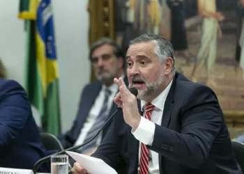 Agentes públicos envolvidos com fraude no INSS são do governo Bolsonaro, diz Pimenta