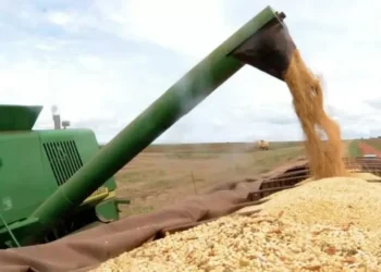 Ações do agro sobem até 74% após cortes na Selic; cenário será o mesmo em 2026?