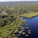 Amazônia: bioinsumos atraem empresas à região, mas violência e clima limitam expansão