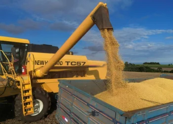 IGP-M tem primeira queda na janela de 12 meses desde maio de 2024