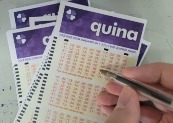Quina hoje, concurso 6882: Confira o resultado sorteado nesta quarta (19)