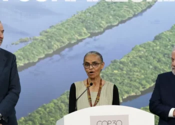 Alemanha dará 1 bilhão de euros para florestas tropicais, diz Marina