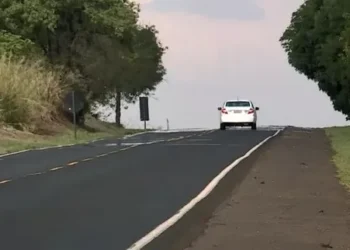 Way Concessões vence leilão da Rota Sertaneja com desconto de 24,8% na tarifa