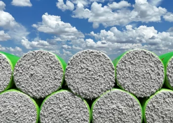 StoneX reduz em 1% previsão para safra de algodão 2025/2026 do Brasil