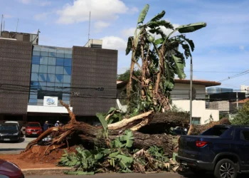 Apagão em SP pode ter causado prejuízo de até R$ 77,5 milhões ao comércio, diz ACSP