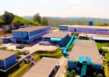 Blau (BLAU3) avança em imunoterápico e ações fecham com salto de 8%