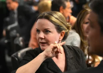 Gleise culpa Selic pela dívida pública e não as despesas do governo