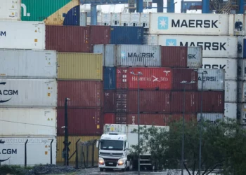 Quem são as “onças brasileiras”, que têm potencial de crescer com acordo Mercosul-UE