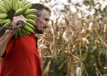 Câmara aprova uso de recursos do FGO em operações do Pronaf